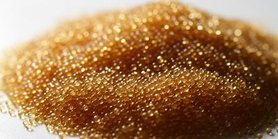 Glo-ION | Global Absorbent