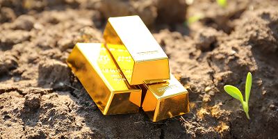 Gold Recovery | Global Absorbent